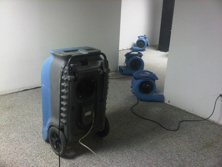 IMG00532-20110315-2303.jpg