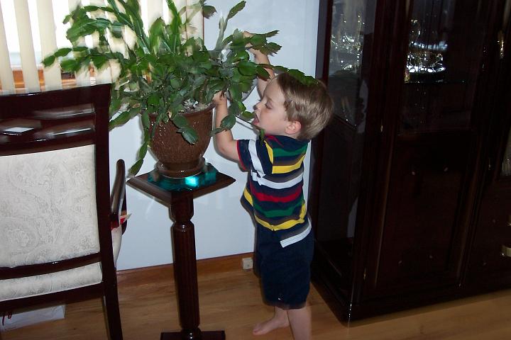 100_0308.jpg