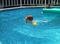 Swiming