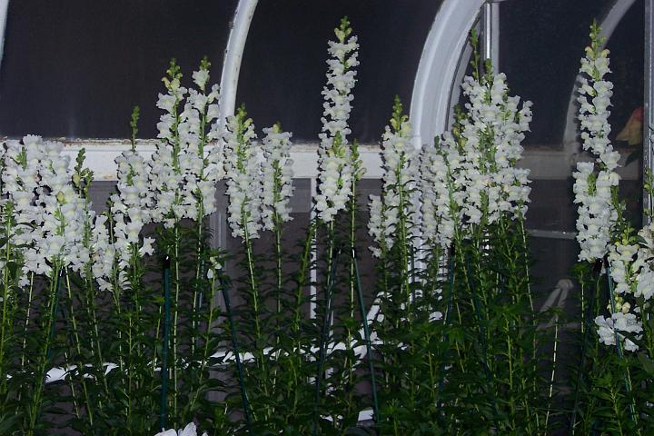 100_1997.JPG