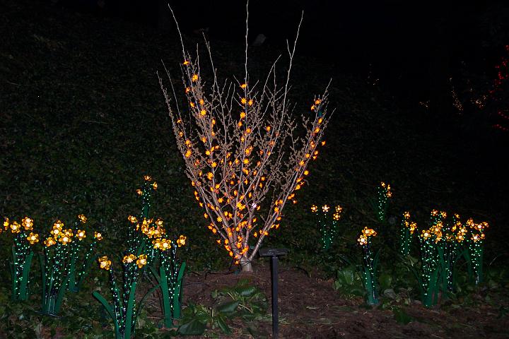 100_2007.JPG