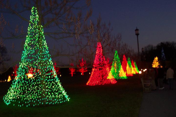 100_2009.JPG