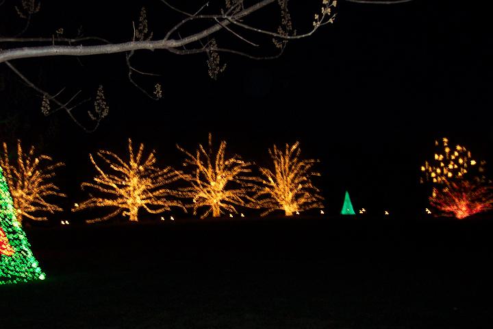 100_2023.JPG
