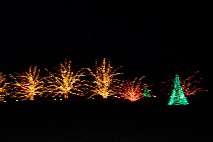 100_2026.JPG