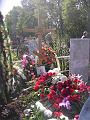 DSCN0931