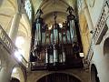 Organ