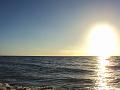 Sea1