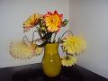 Dahlias