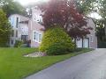 IMG00886-20110628-1935