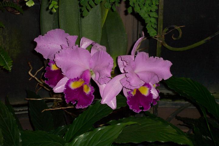 100_1971.JPG