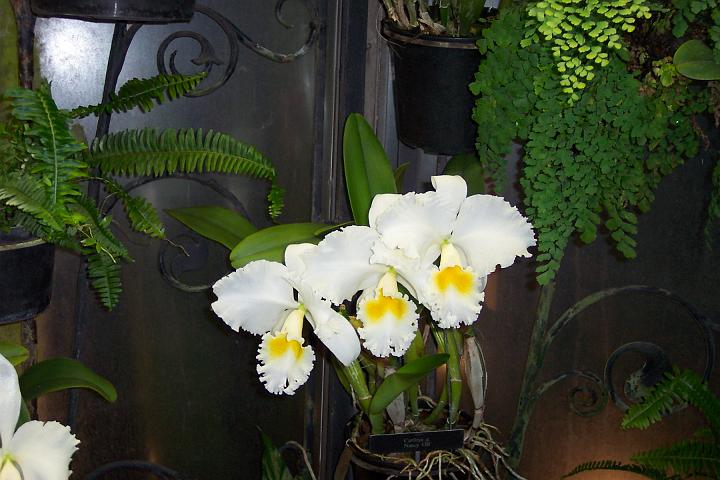 100_1975.JPG