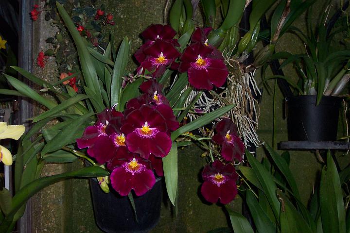 100_1977.JPG